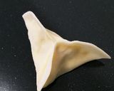 餃子の皮で簡単☆サモサ作り方6写真