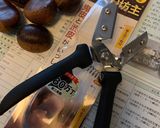 秋は栗めし（栗ごはん）簡単バージョン作り方2写真