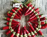 唐辛子の飾ってもオサレな保存法作り方14写真