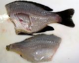 ブルーギルの「おいしい！！」天ぷら作り方3写真
