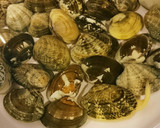 アサリとトマトのイタリアン風酒蒸し作り方1写真