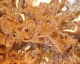シャキシャキ☆水菜とあげとジャコのサラダ作り方4写真