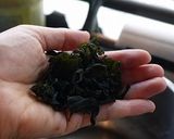 酸っぱくない！マイルド☆きゅうりもみ作り方2写真