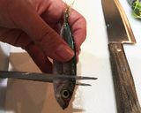 豆鯵の南蛮漬け作り方1写真