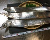 太刀魚のお刺し身σ(^_^;)作り方2写真