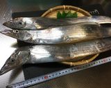 太刀魚の塩焼きσ(^_^;)作り方2写真