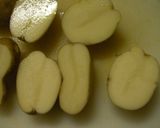 グラタン風ジャガイモのクリーム煮作り方13写真