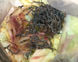 簡単！白菜とミョウガの塩昆布浅漬け作り方1写真