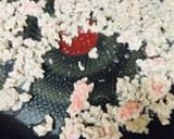 ザーサイネギだれ❤️麻婆厚揚げ青梗菜作り方2写真