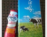 ヨーグルティアで自家製ヨーグルト（覚書）作り方12写真