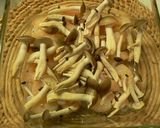 小エビとしめじのマヨパン粉焼き☆作り方3写真