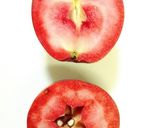 メイポールのジャムApple Jelly作り方2写真