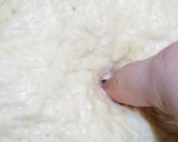 夢添加！パン職人直伝の基本のパン生地だよ作り方16写真