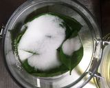 バジルの塩漬け作り方4写真