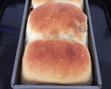 HBで簡単レーズン食パン作り方13写真
