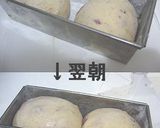 冷蔵発酵のクランベリークルミブレッド作り方4写真