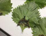 大葉みそのしそ巻き作り方1写真