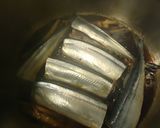 圧力鍋de簡単秋刀魚の煮付け作り方6写真