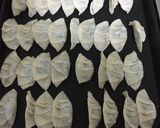 プチプチ食感が楽しい♡白菜餃子作り方4写真