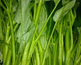 お年寄り絶讚シリーズ❗空芯菜入り餃子❗作り方1写真