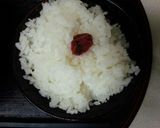 血管プラークダイエット食518（うどん）作り方1写真