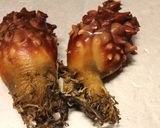 ホヤの土佐酢作り方1写真
