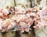 鮭マヨチーズ♡茄子ロール作り方4写真