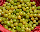 食用ほおずき（ほうずき）ジャム作り方2写真