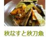 秋なすと秋刀魚のポン酢おろし和え作り方11写真