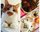簡単！キャラ弁！猫。ネコ。ねこ。作り方5写真