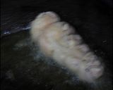 みょうがドレッシングでグリルチキン！作り方28写真