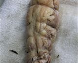 みょうがドレッシングでグリルチキン！作り方27写真