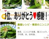 農園レシピ・青菜のニンニク炒め作り方10写真