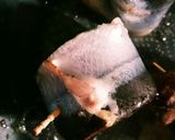 秋刀魚の大葉巻き作り方4写真