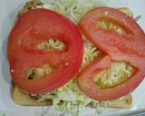 ガッツリ!!鶏胸ソテーのホットサンド作り方5写真