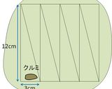 抹茶クッキー(王蟲風)作り方7写真