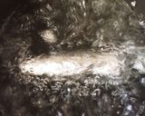 ❀鶏もも肉の❀ の鶏ハム(*´﹃｀*)作り方7写真