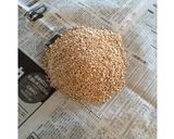 簡単圧力鍋手作り自家製お味噌作り作り方4写真