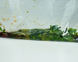 一晩でシャキうま！豆苗のにんにく醤油漬け作り方5写真