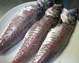酒肴!アジのなめろう!カボス風味!作り方3写真