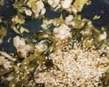 ニコラス風ヘルシー博多とうふステーキ作り方3写真