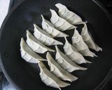 大葉たっぷりのヘルシー餃子作り方3写真