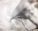 ふんわり、しっとり、バニラシフォン！作り方5写真