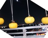 干し柿作り方4写真