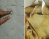 手羽元と半熟玉子のお酢煮作り方3写真