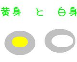 卵黄味噌漬け♪作り方4写真