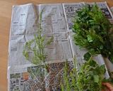 青じその実の減塩佃煮作り方2写真