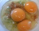 ダシがきいてる★鰹節とネギのたまご焼き作り方1写真