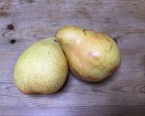 洋梨のコンポート作り方1写真