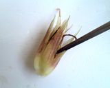 ミョウガの保存方法作り方3写真